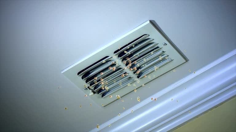 Best Air Duct Cleaning Near Me  in Newhall, IA