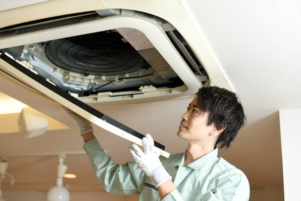 Air Duct Mold Removal in Newhall, IA
